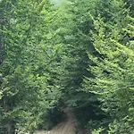 Marash Rrgalla *