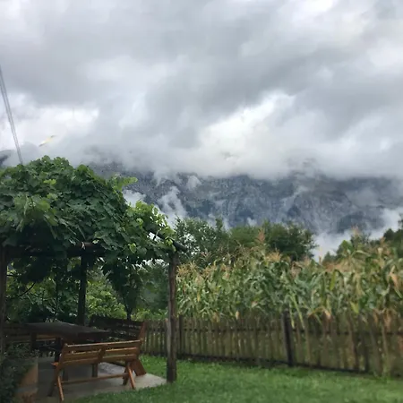 بيت ضيافة Marash Rrgalla