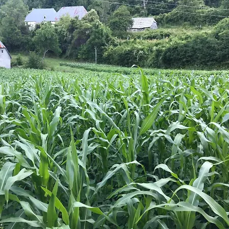 Marash Rrgalla Gasthuis Theth