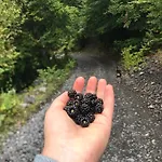 Marash Rrgalla Vendégház Theth
