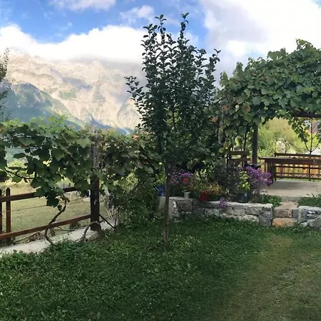 Guest house Marash Rrgalla *