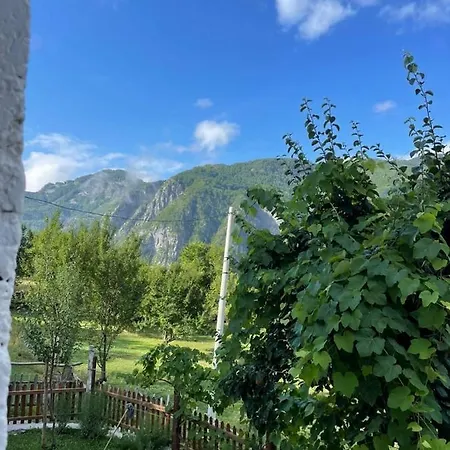 Marash Rrgalla Penzion