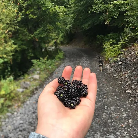 Marash Rrgalla Penzion Theth