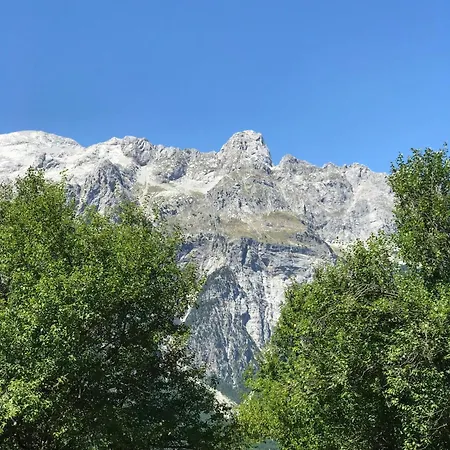 Marash Rrgalla 세스