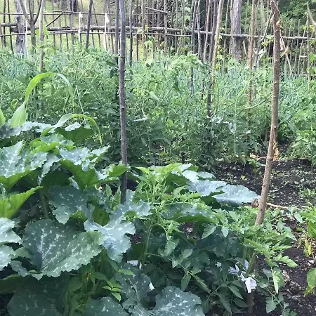 Marash Rrgalla Penzion *